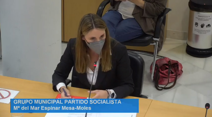 Grupo Municipal Socialista del Ayuntamiento de Madrid